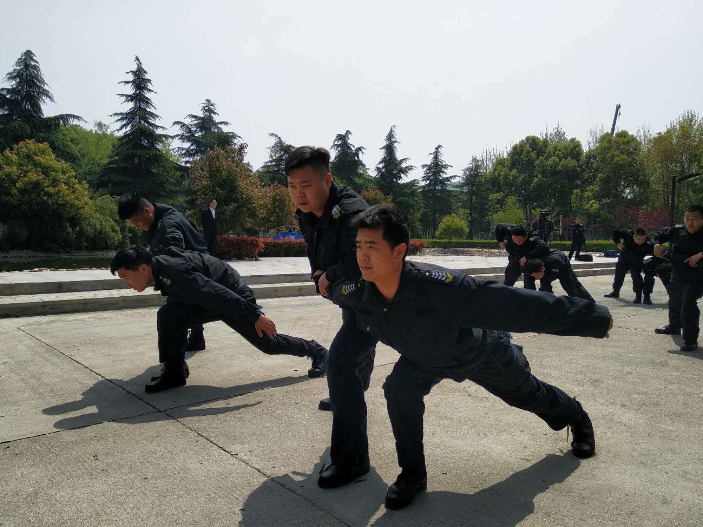 1555314367973464.jpg 1555314367973464.jpg