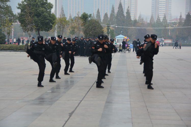 1574126843956114.jpg 12.jpg