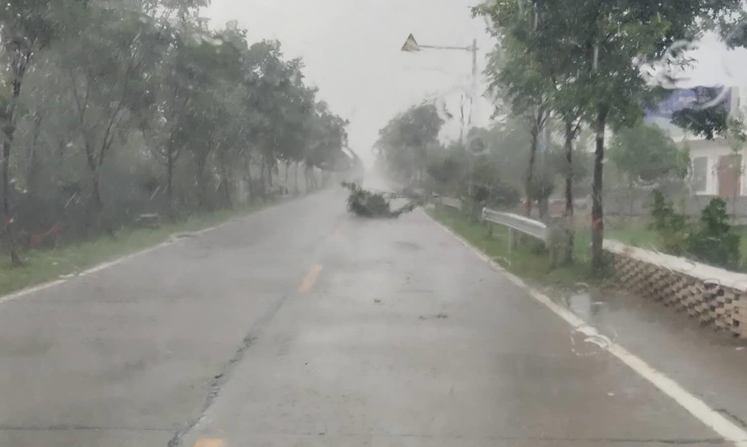 1597981181321956.jpg 1597981181321956.jpg