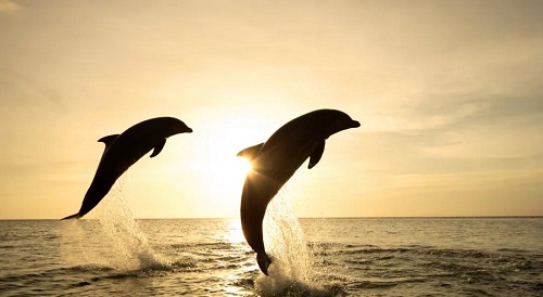 1599277189738299.jpg 微信圖片_20200905114300-2.jpg