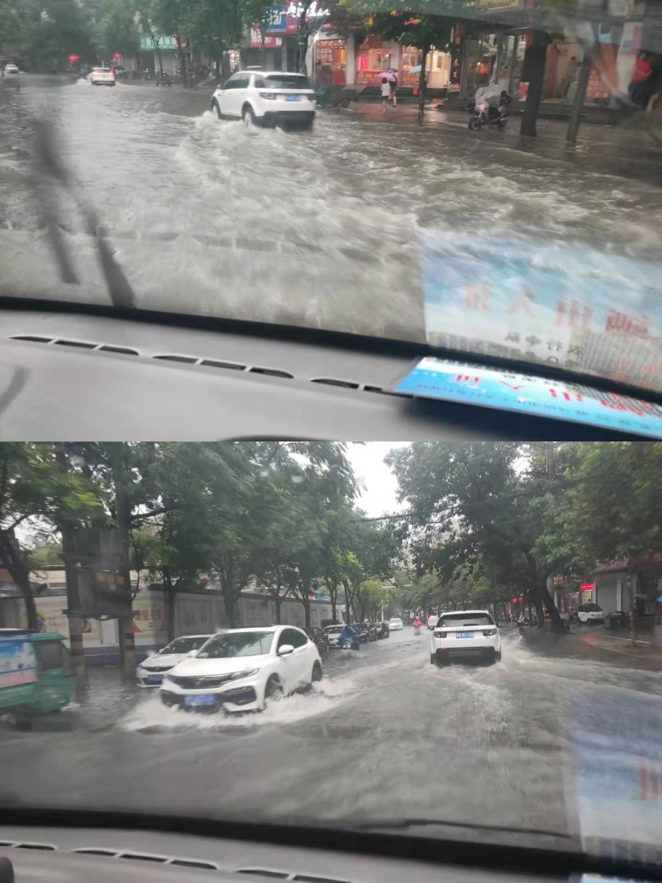 1627120176451221.jpg 1627120176451221.jpg