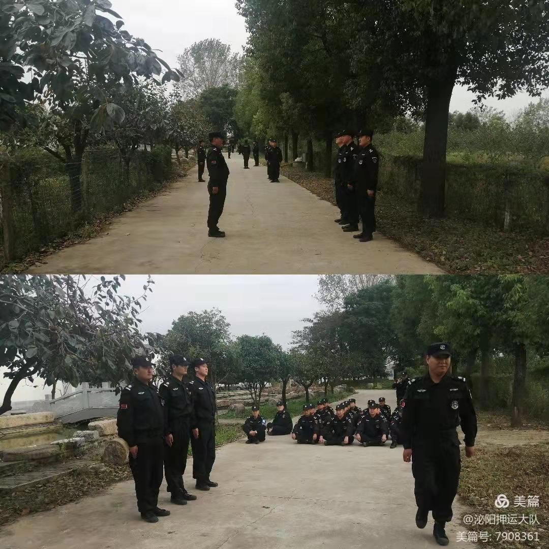 1634365346953211.jpg 1634365346953211.jpg