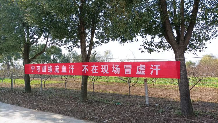 1637824858604431.jpg 1637824858604431.jpg