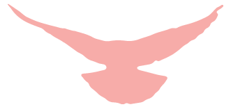 1648517320361141.png 圖片5.png