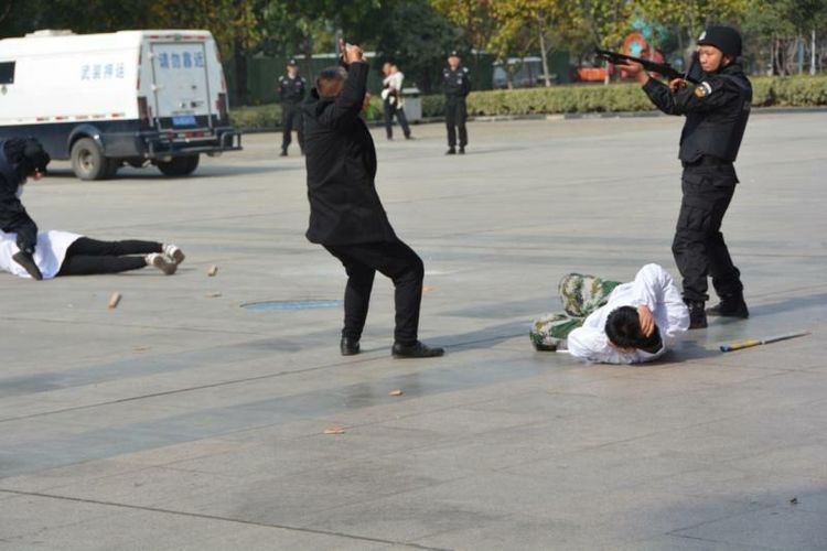 1669792959665936.jpg 1669792959665936.jpg