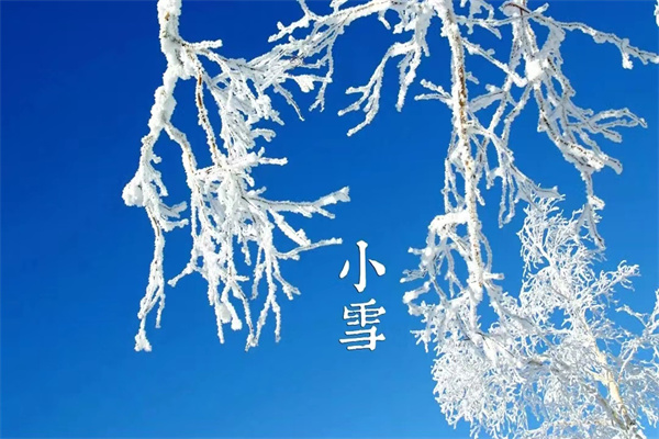 1669802948136051.jpg 微信图片_20221130173301.jpg