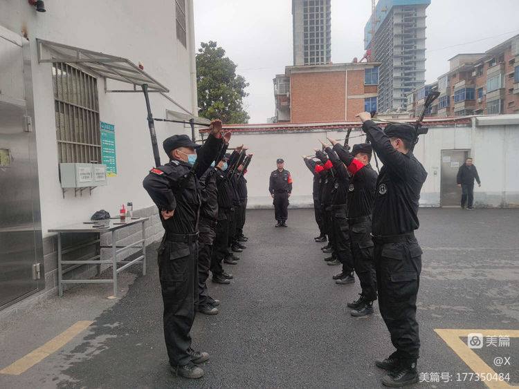 1681436512545673.jpg 1681436512545673.jpg