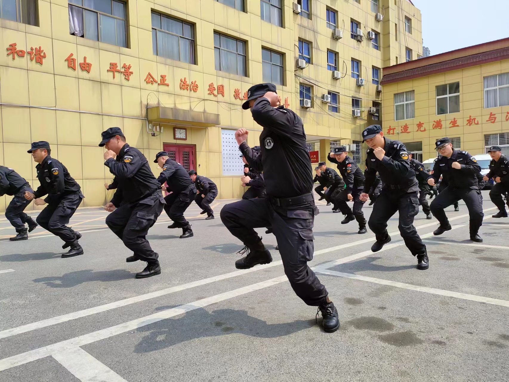 1681911919333798.jpg 1681911919333798.jpg