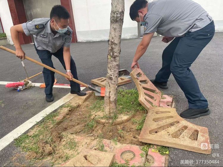 1683934690247695.jpg 1683934690247695.jpg