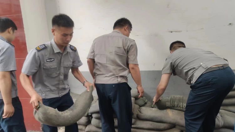 1686787664612133.jpg 1686787664612133.jpg