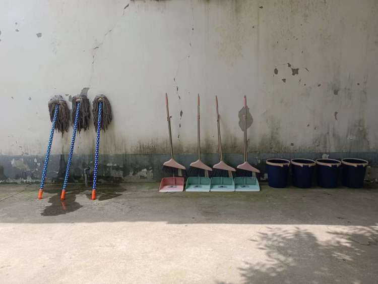 1691110374744785.jpg 1691110374744785.jpg