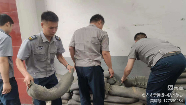 1692085816447489.jpeg 1692085816447489.jpeg