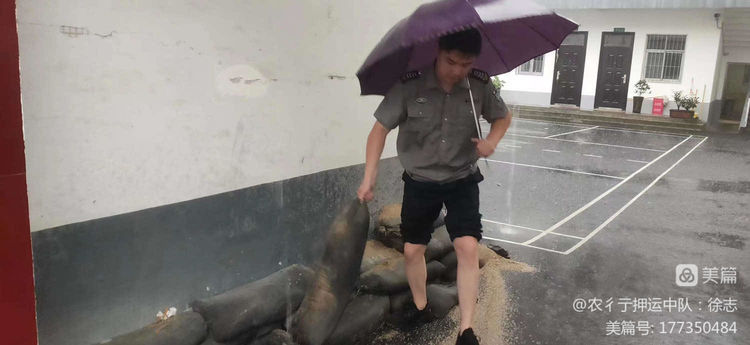 1692085842875286.jpeg 1692085842875286.jpeg