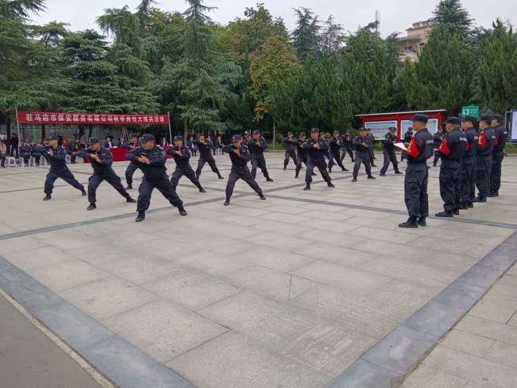 1699096346890215.jpg 1699096346890215.jpg