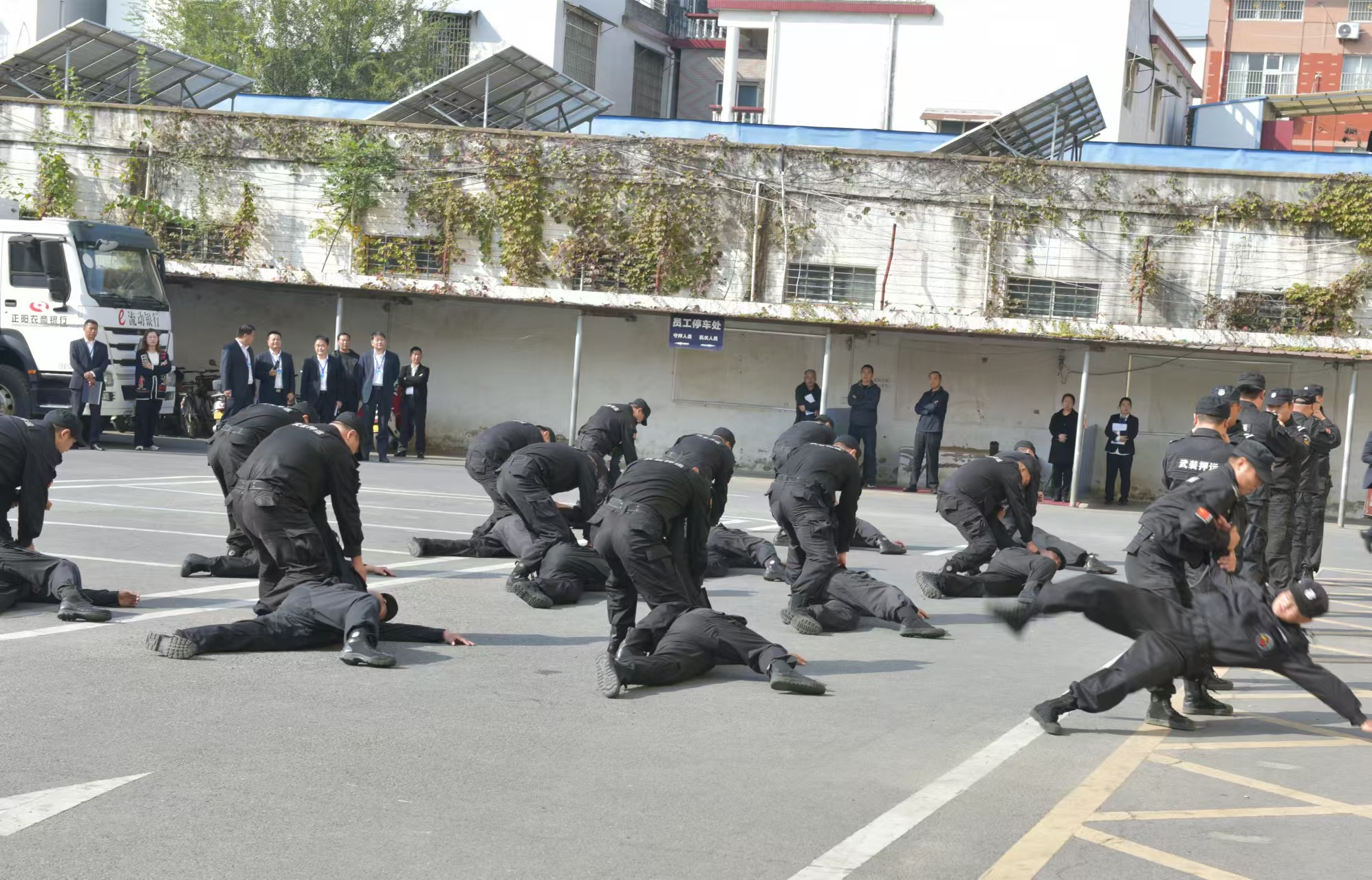 1730857688617205.jpg 1730857688617205.jpg