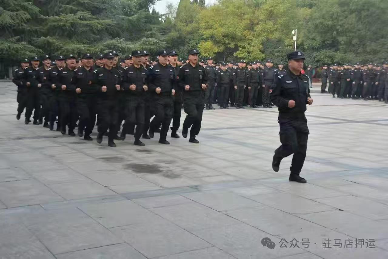 1731397166257600.jpg 1731397166257600.jpg