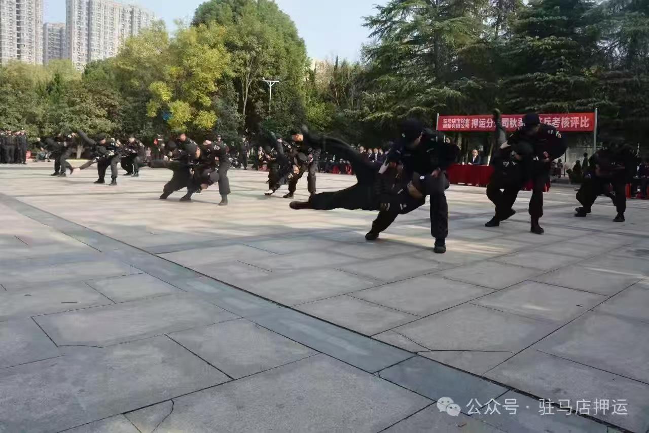 1731397245485608.jpg 1731397245485608.jpg