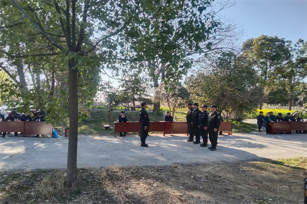 1742463531279267.jpg 5.jpg